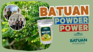 batuan powder